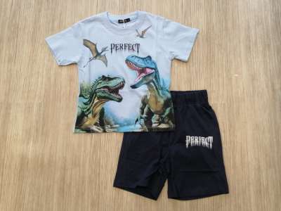 Camiseta azul con dibujo de dinosaurios y pantalón corto azul marino a juego